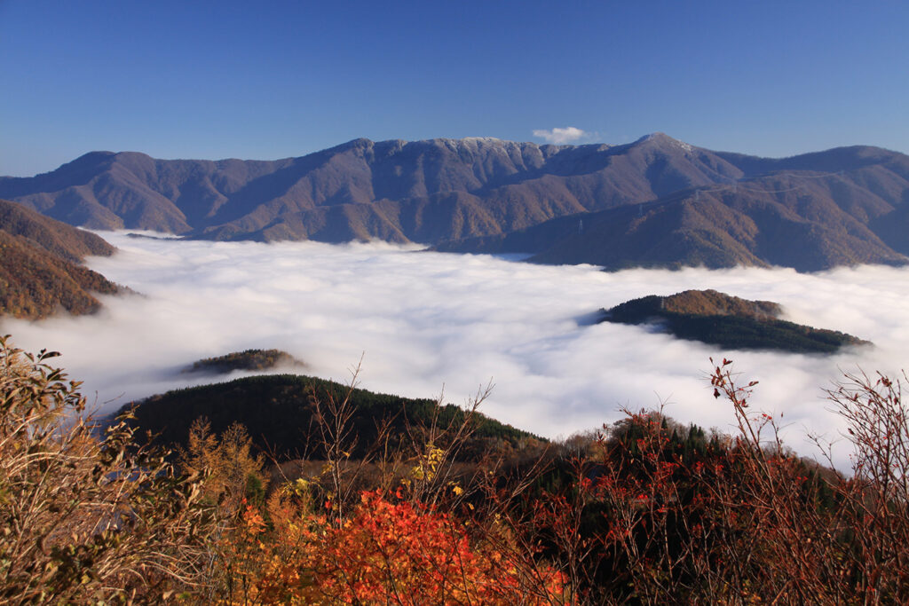 白山白川郷ホワイトロード(白山スーパー林道)雲海